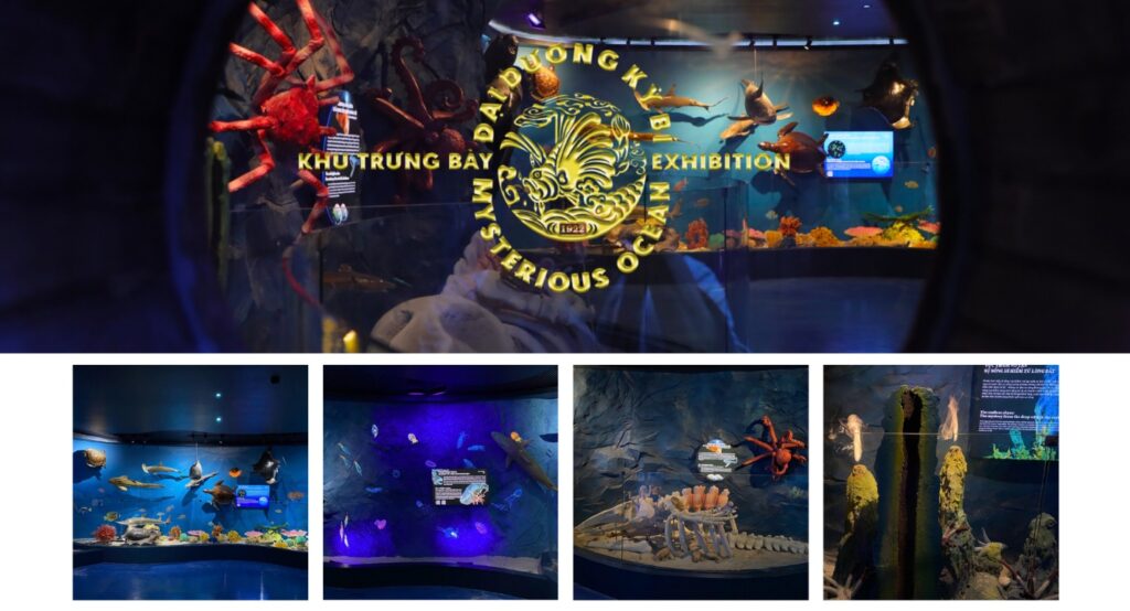 Khu trưng bày Đại dương kỳ bí với mô phỏng 4 tầng nước của đại dương từ 0 – 6.000m