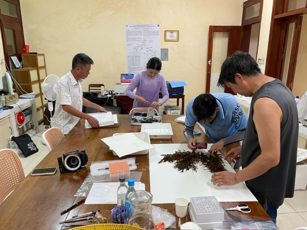 Hình 5: Hợp tác nghiên cứu về rong biển giữa Phòng Thực vật biển và ĐHQG Jeju, Hàn Quốc